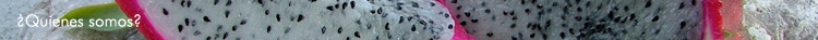 ¿Quienes somos?