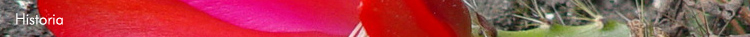 Historia