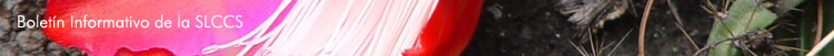 Boletín Informativo